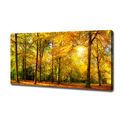 Tableau mural sur toile Forêt d'automne