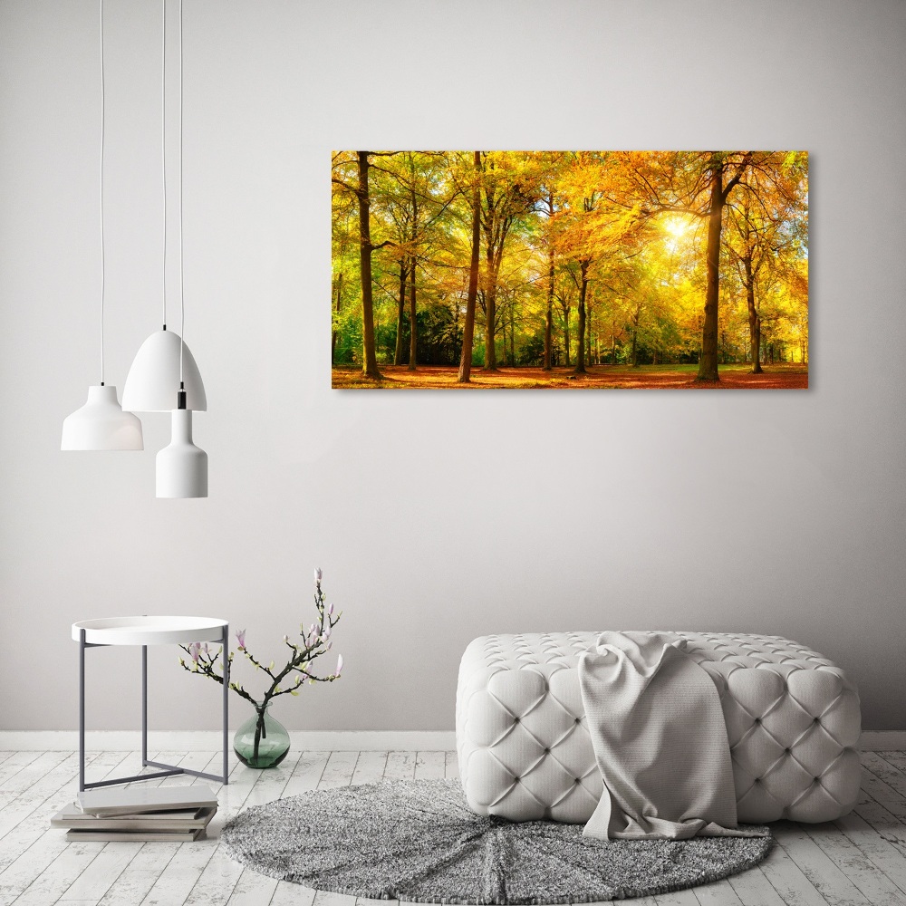 Tableau mural sur toile Forêt d'automne