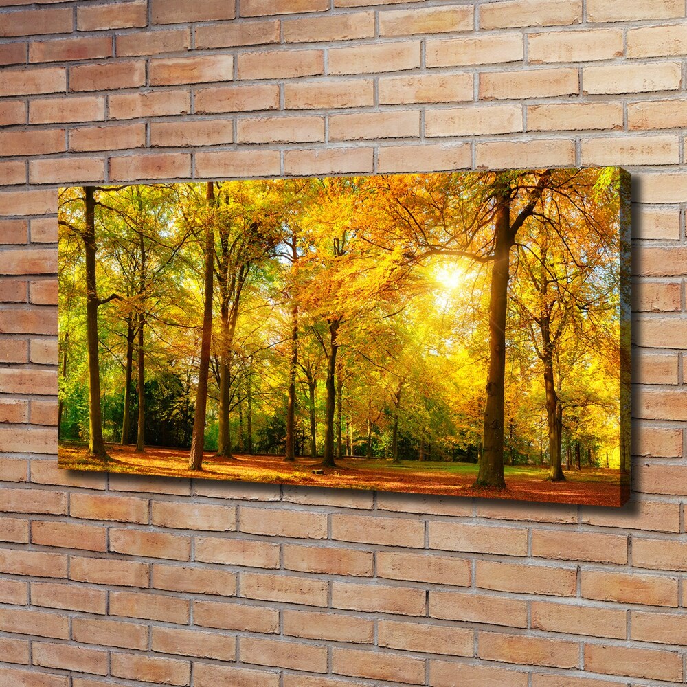 Tableau mural sur toile Forêt d'automne