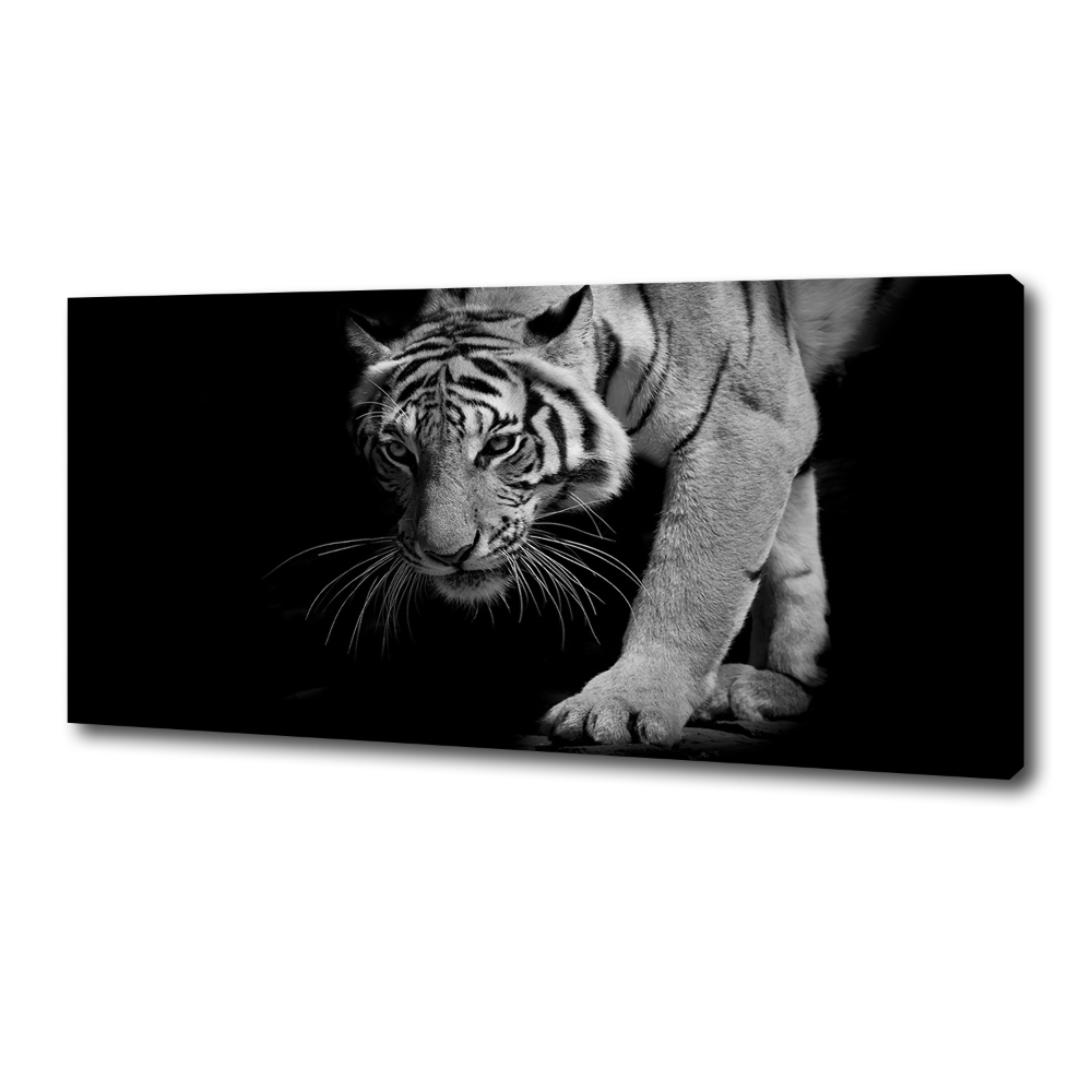 Tableau imprimé sur toile Tigre