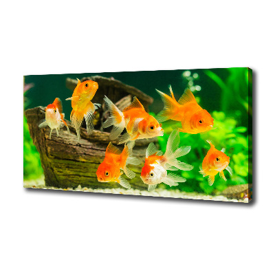 Tableau photo sur toile Poisson rouge