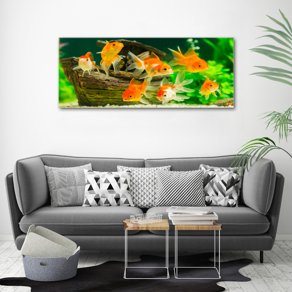 Tableau photo sur toile Poisson rouge