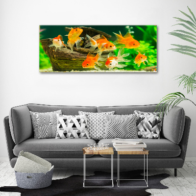 Tableau photo sur toile Poisson rouge