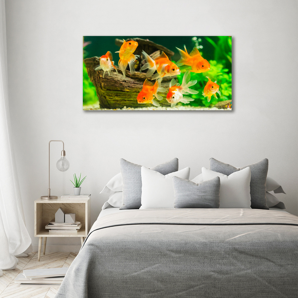 Tableau photo sur toile Poisson rouge