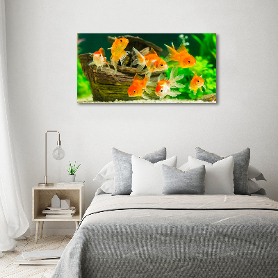 Tableau photo sur toile Poisson rouge