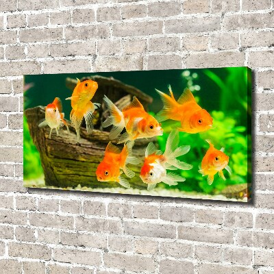 Tableau photo sur toile Poisson rouge