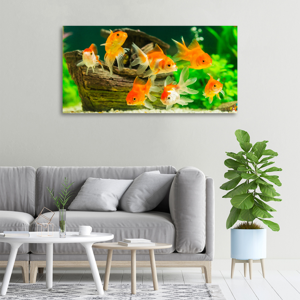 Tableau photo sur toile Poisson rouge