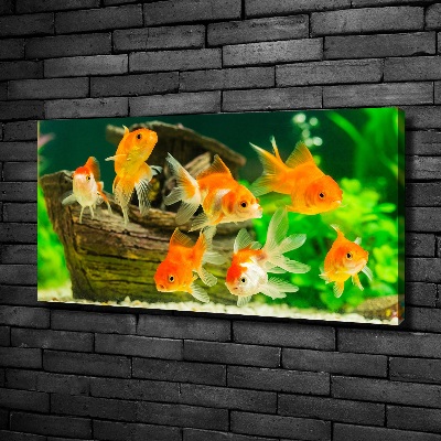 Tableau photo sur toile Poisson rouge