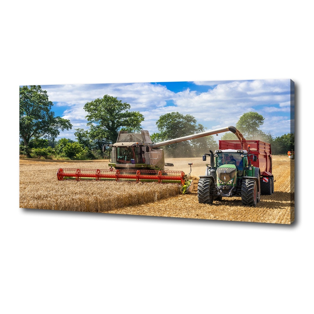 Tableau photo sur toile Moissonneuse-batteuse et tracteur