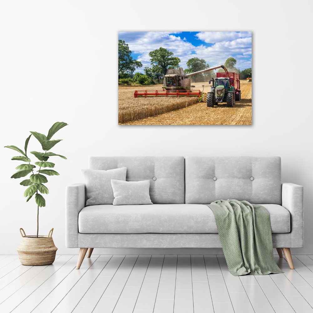 Tableau photo sur toile Moissonneuse-batteuse et tracteur