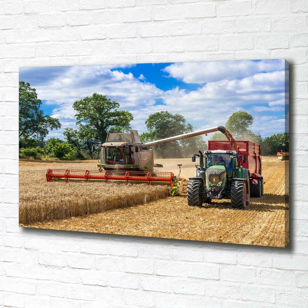 Tableau photo sur toile Moissonneuse-batteuse et tracteur