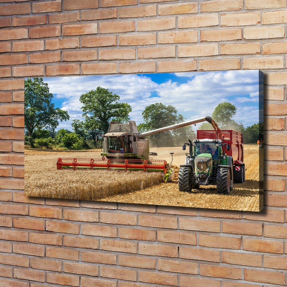 Tableau photo sur toile Moissonneuse-batteuse et tracteur