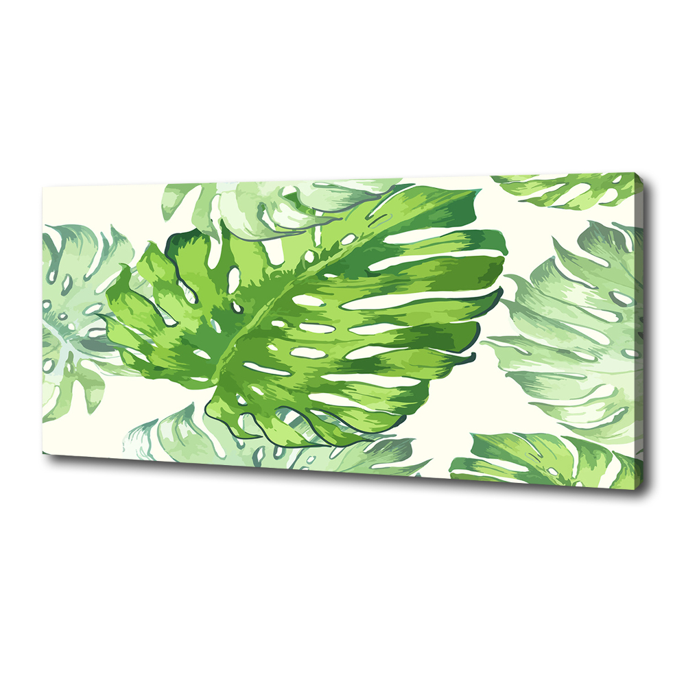 Tableau imprimé sur toile Feuilles tropicales monstera