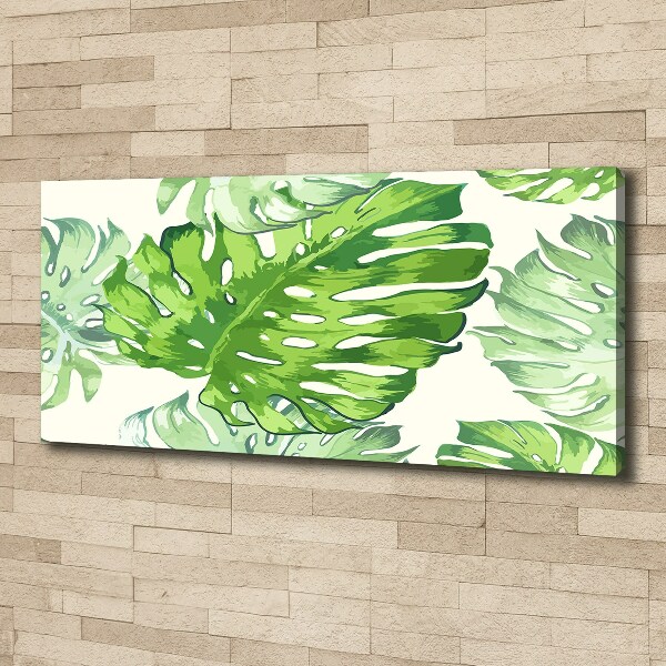 Tableau imprimé sur toile Feuilles tropicales monstera