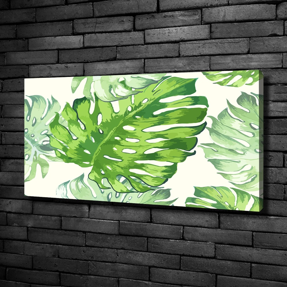 Tableau imprimé sur toile Feuilles tropicales monstera