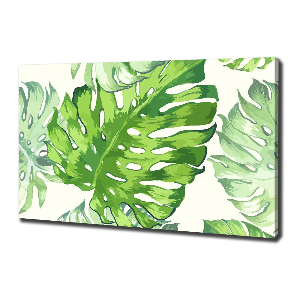 Tableau imprimé sur toile Feuilles tropicales monstera