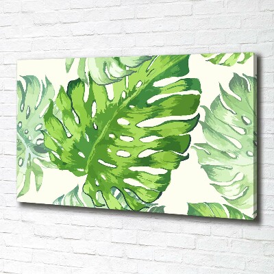 Tableau imprimé sur toile Feuilles tropicales monstera