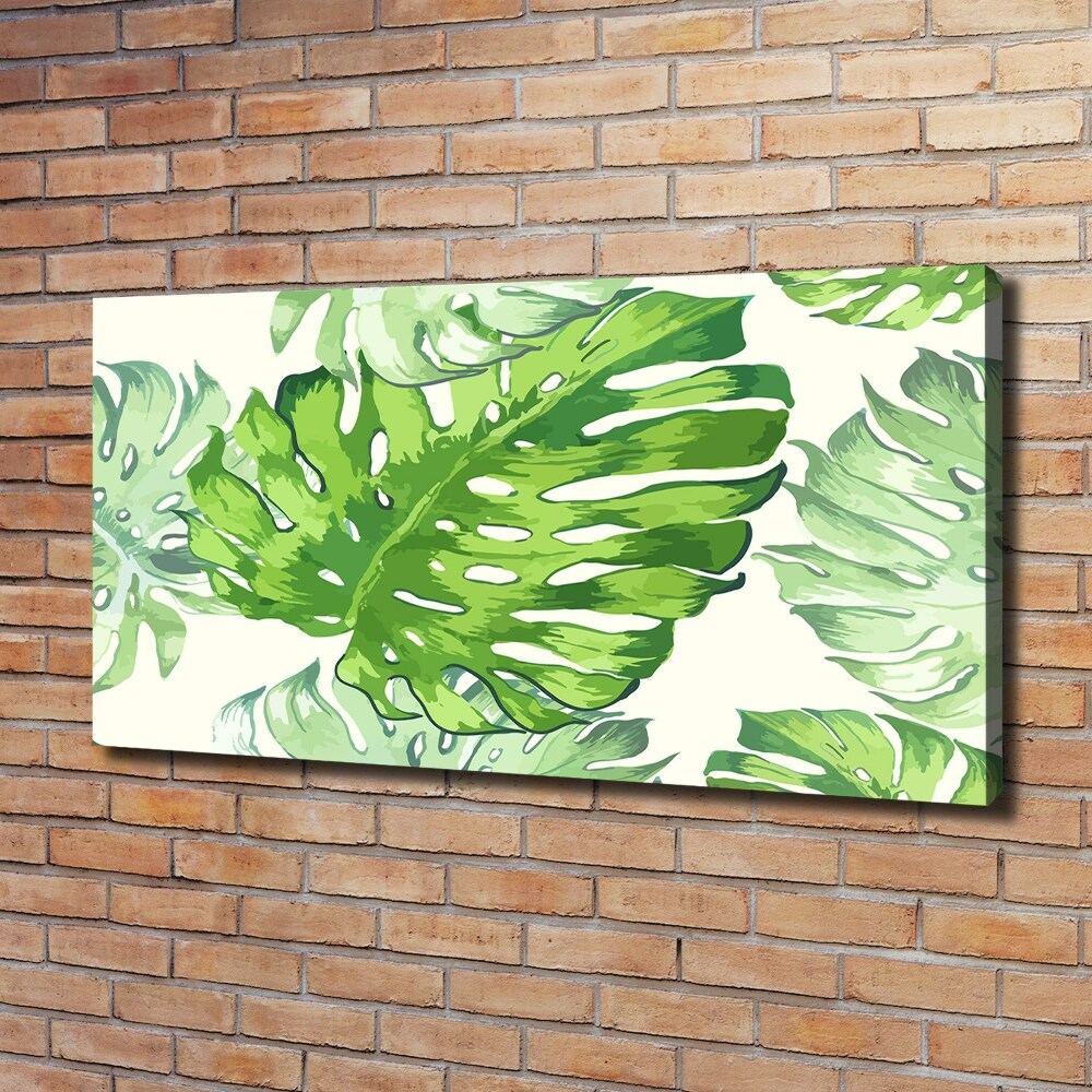 Tableau imprimé sur toile Feuilles tropicales monstera