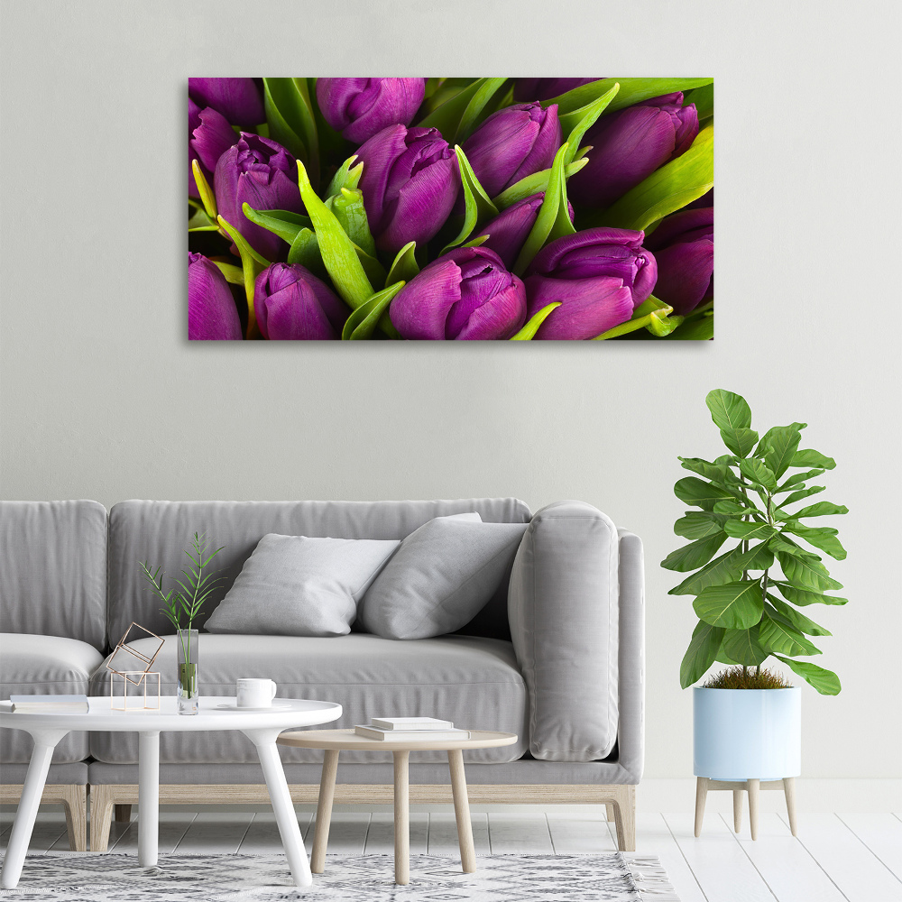 Tableau imprimé sur toile Tulipes pourpres