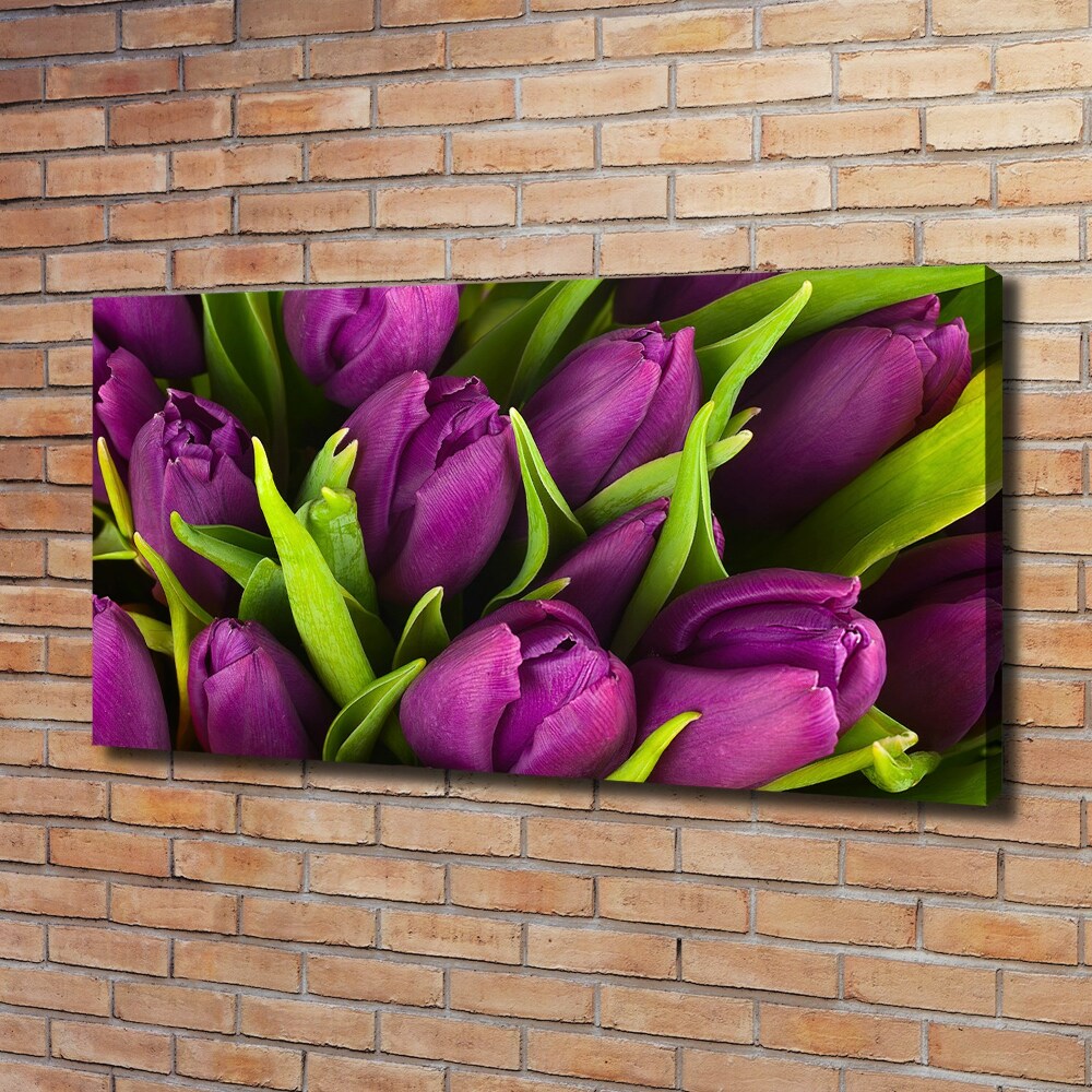 Tableau imprimé sur toile Tulipes pourpres