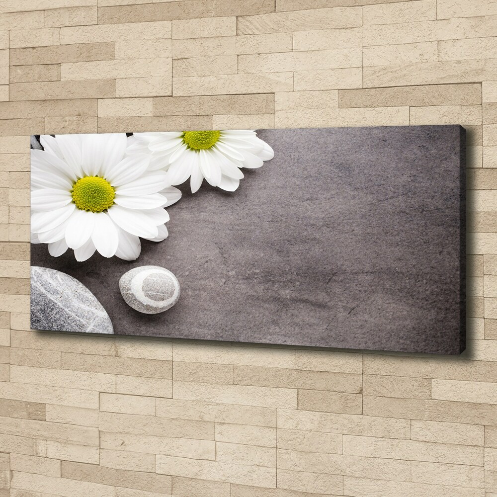 Tableau sur toile Gerbera