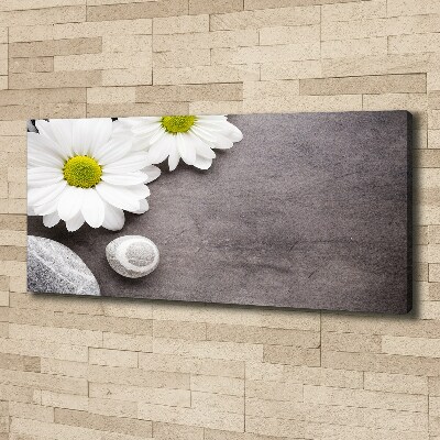 Tableau sur toile Gerbera