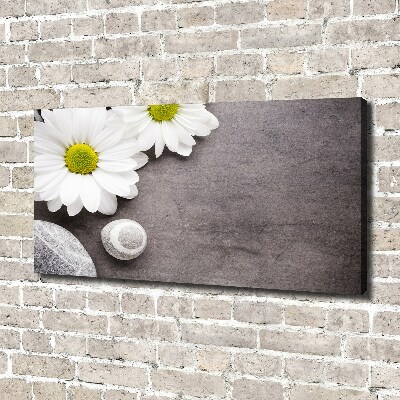 Tableau sur toile Gerbera