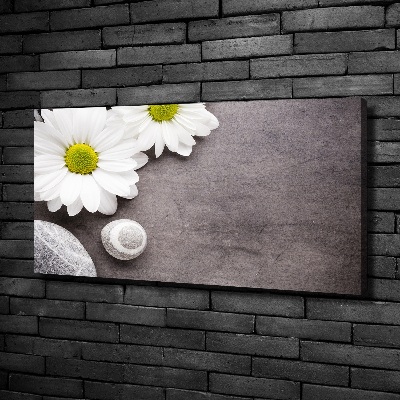 Tableau sur toile Gerbera