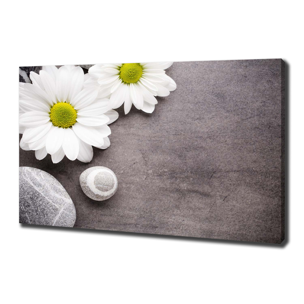 Tableau sur toile Gerbera