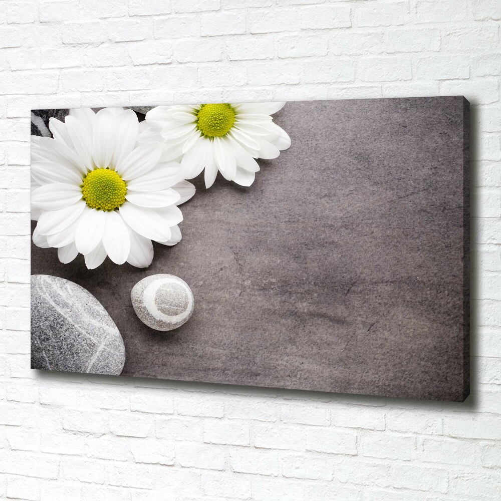 Tableau sur toile Gerbera