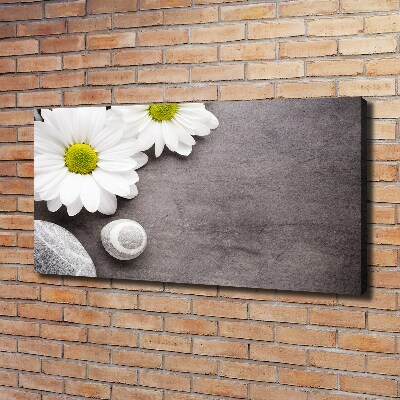 Tableau sur toile Gerbera