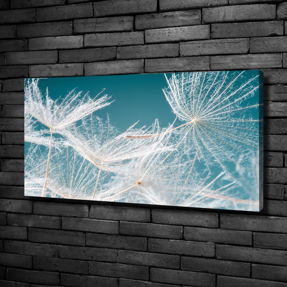 Tableau mural sur toile Graine de bouffi ciel