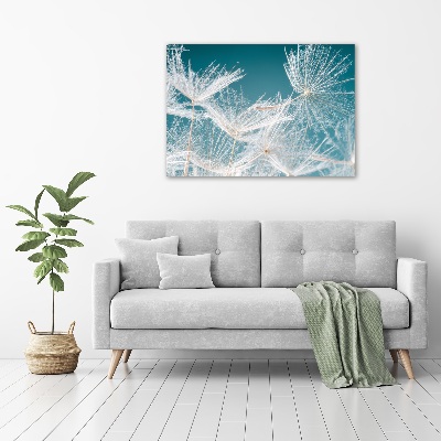 Tableau mural sur toile Graine de bouffi ciel