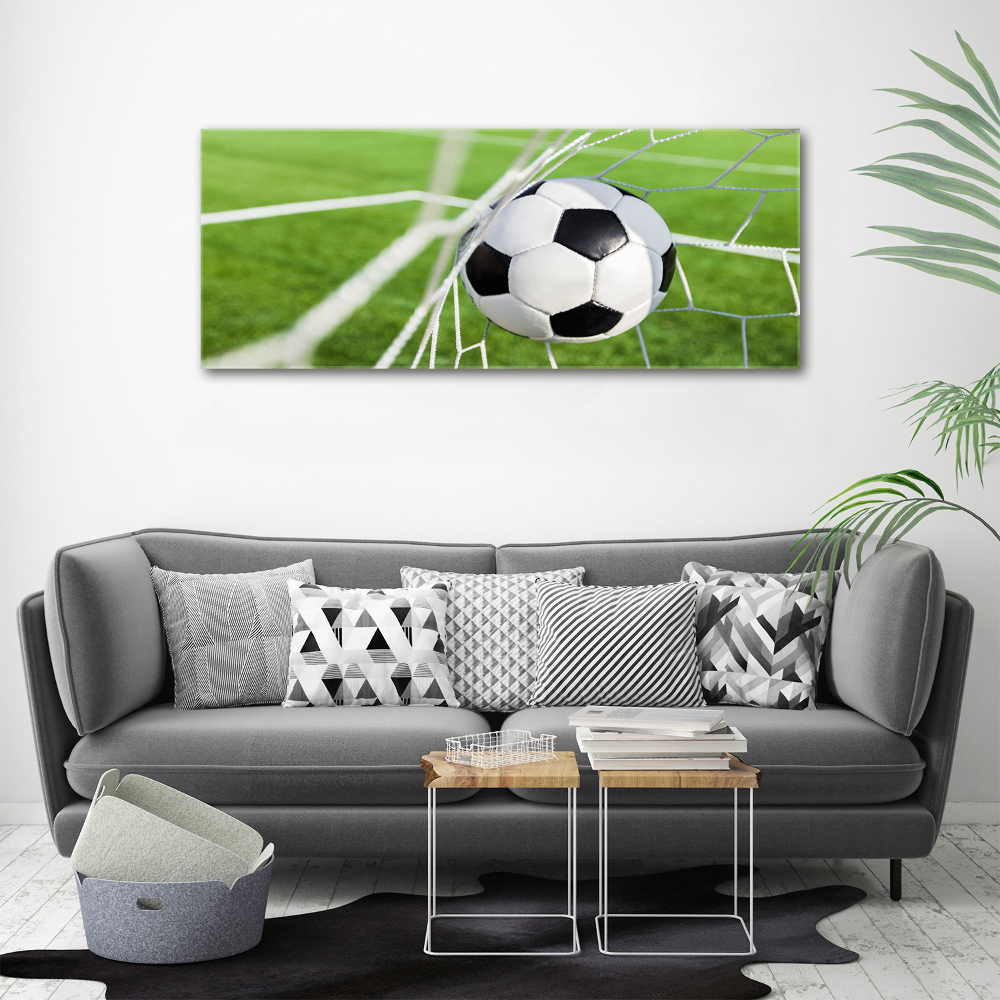 Tableau photo sur toile Le ballon dans les grilles