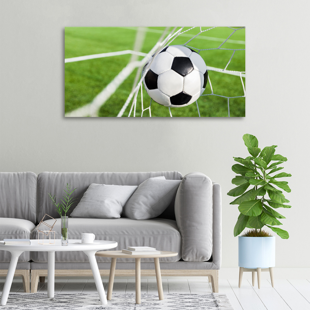 Tableau photo sur toile Le ballon dans les grilles