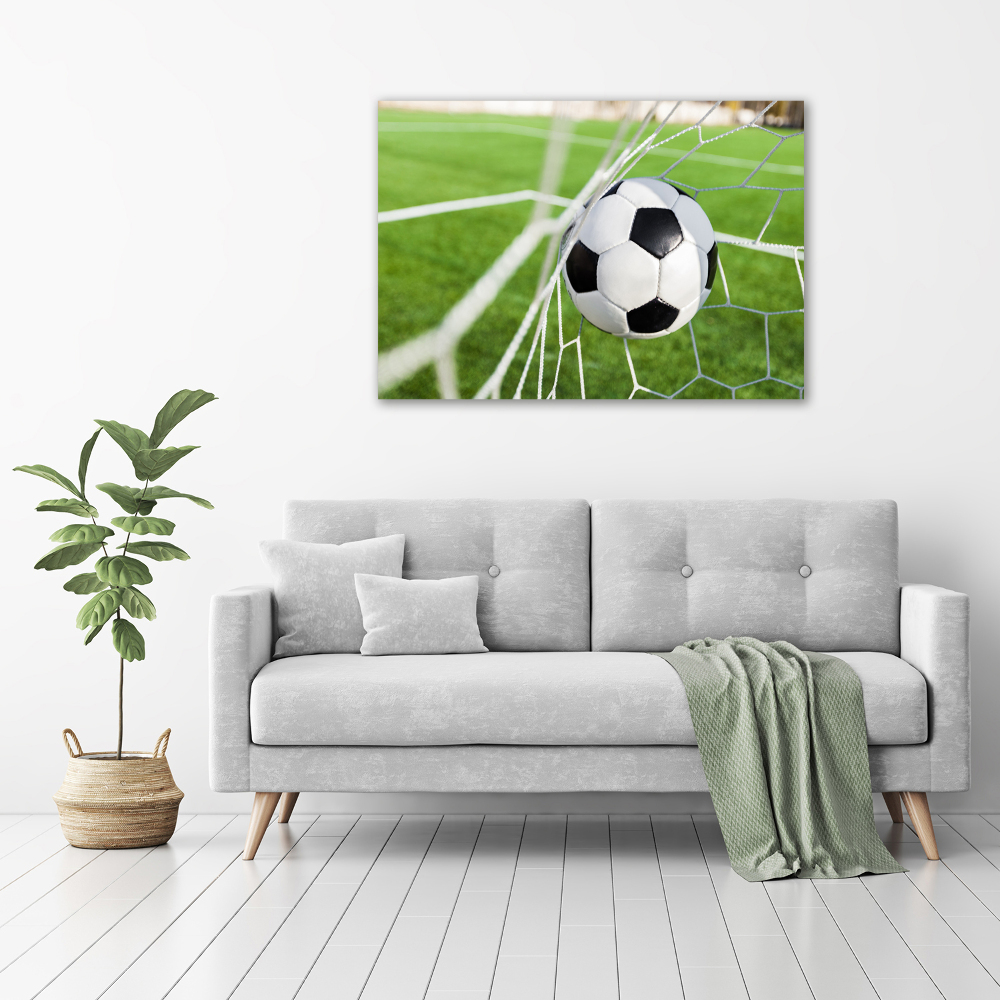 Tableau photo sur toile Le ballon dans les grilles