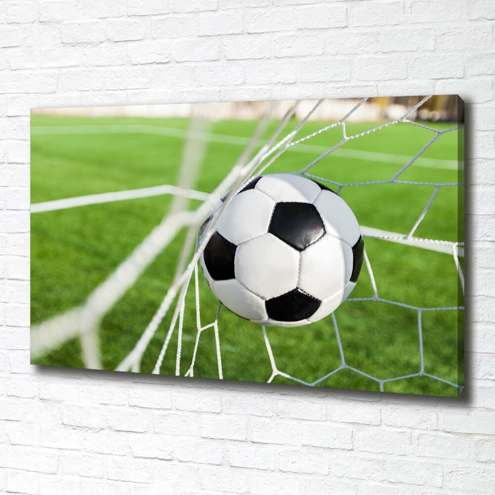 Tableau photo sur toile Le ballon dans les grilles