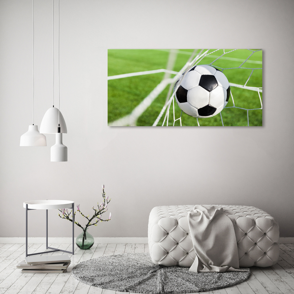 Tableau photo sur toile Le ballon dans les grilles