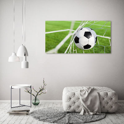 Tableau photo sur toile Le ballon dans les grilles