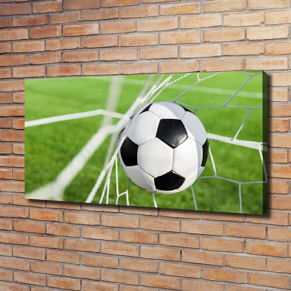 Tableau photo sur toile Le ballon dans les grilles