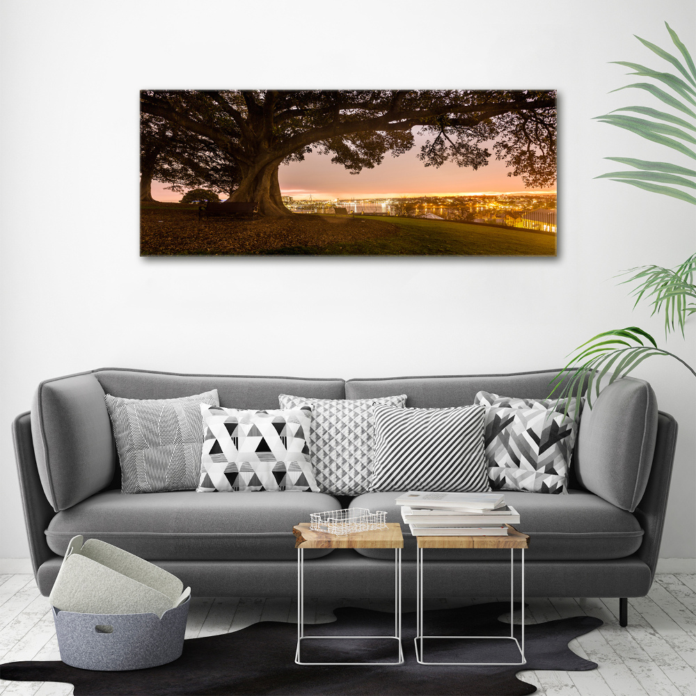 Tableau photo sur toile Vieil arbre