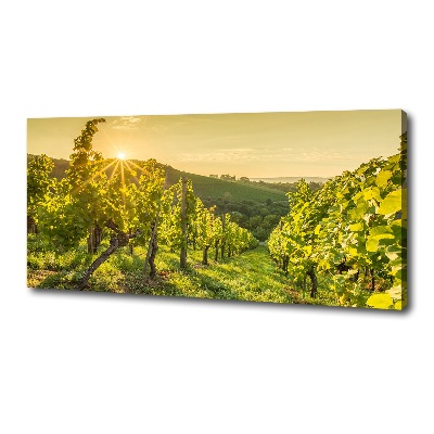 Tableau sur toile Vignobles