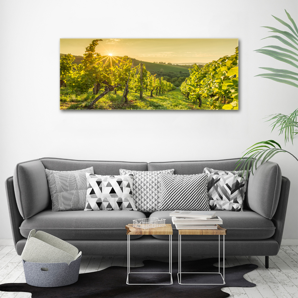 Tableau sur toile Vignobles