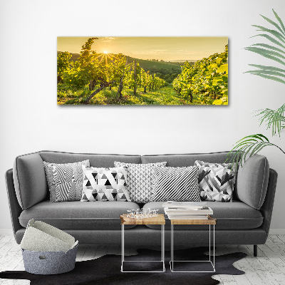 Tableau sur toile Vignobles