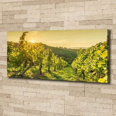 Tableau sur toile Vignobles