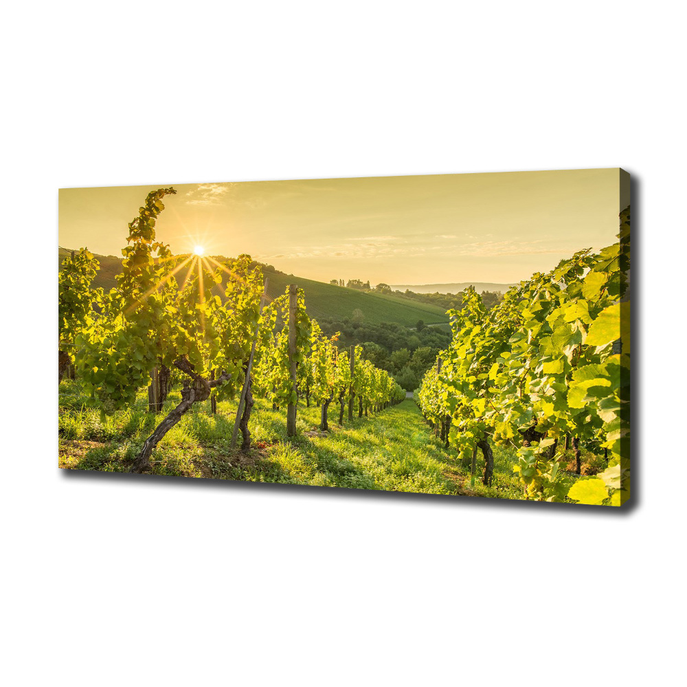 Tableau sur toile Vignobles