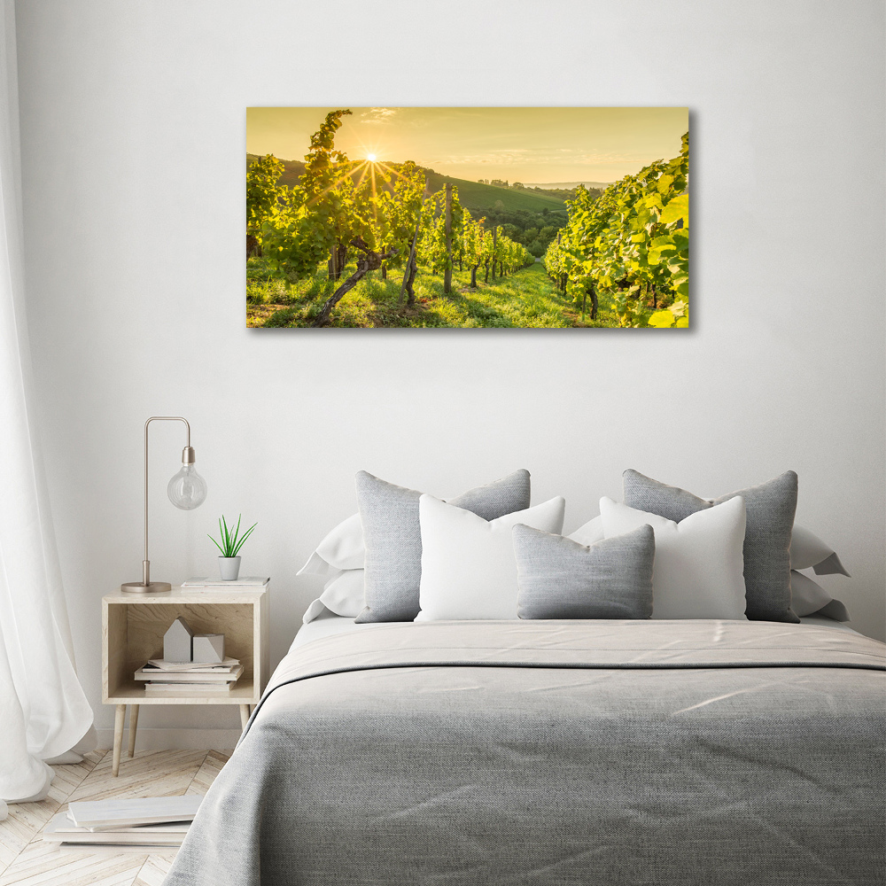 Tableau sur toile Vignobles