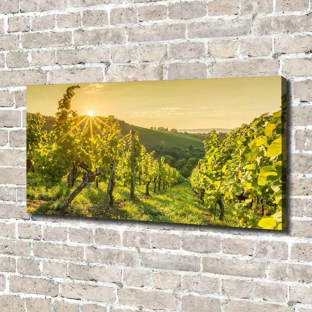 Tableau sur toile Vignobles