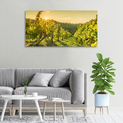 Tableau sur toile Vignobles