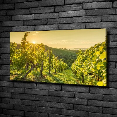 Tableau sur toile Vignobles